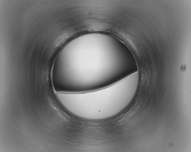 X0000092260539200709141028