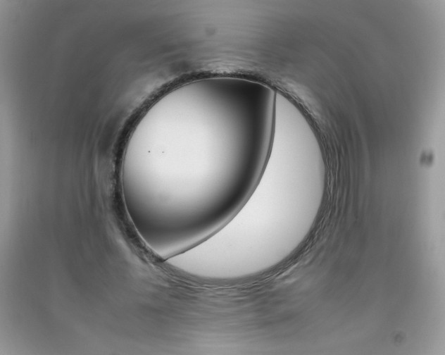 X0000092260540200709141028