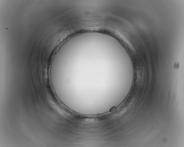 X0000092260541200709141028
