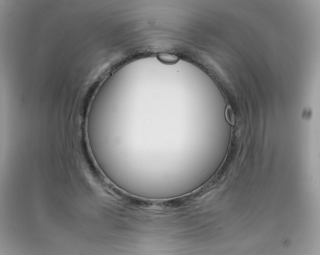 X0000092260542200709141028