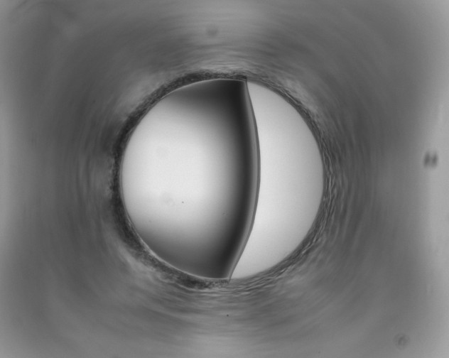 X0000092260544200709141028