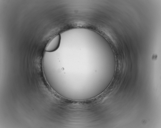 X0000092260545200709141028