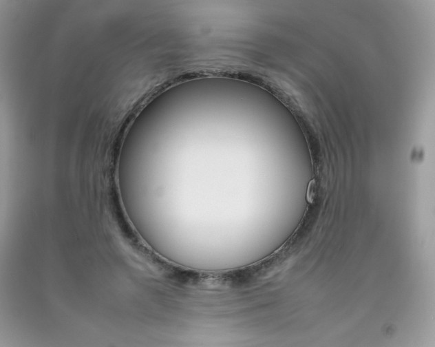 X0000092260546200709141028