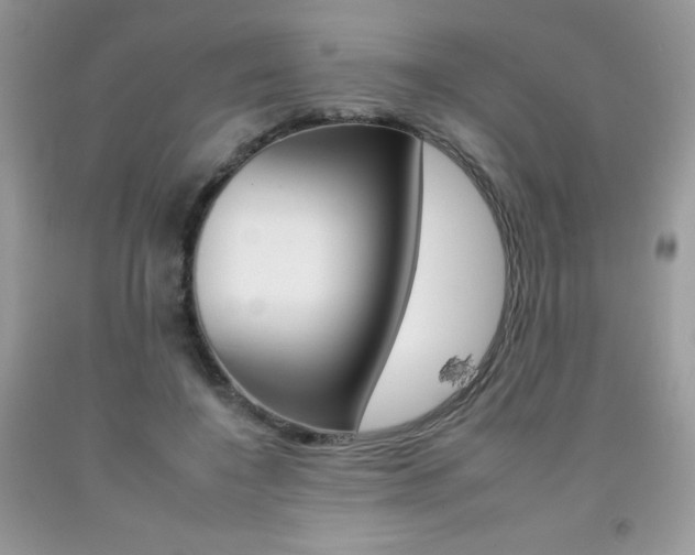 X0000092260548200709141028