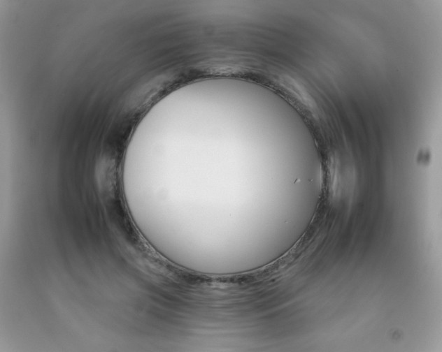 X0000092260549200709141028