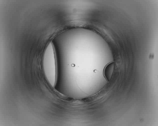 X0000092260551200709141028