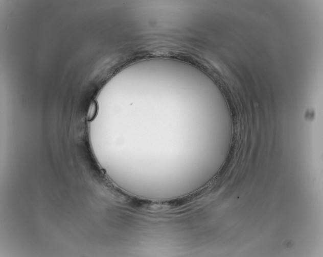 X0000092260554200709141028