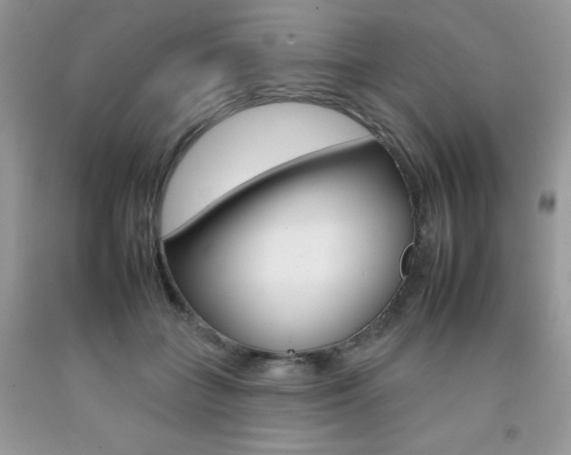 X0000092260555200709141028