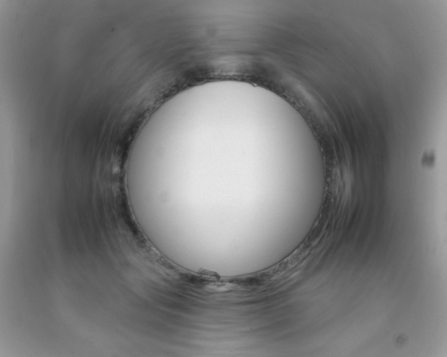 X0000092260557200709141028