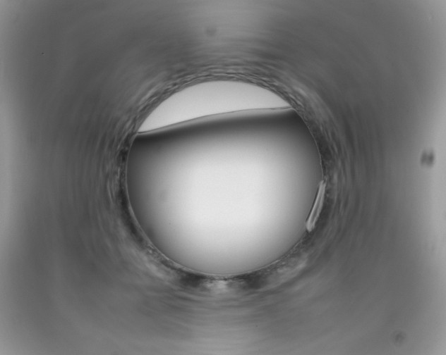 X0000092260558200709141028