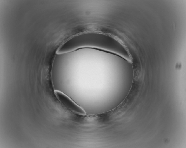 X0000092260560200709141028