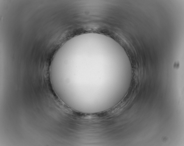 X0000092260561200709141028
