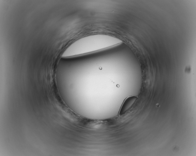 X0000092260563200709141028