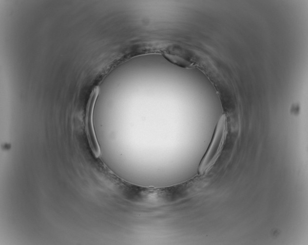 X0000092260564200709141028