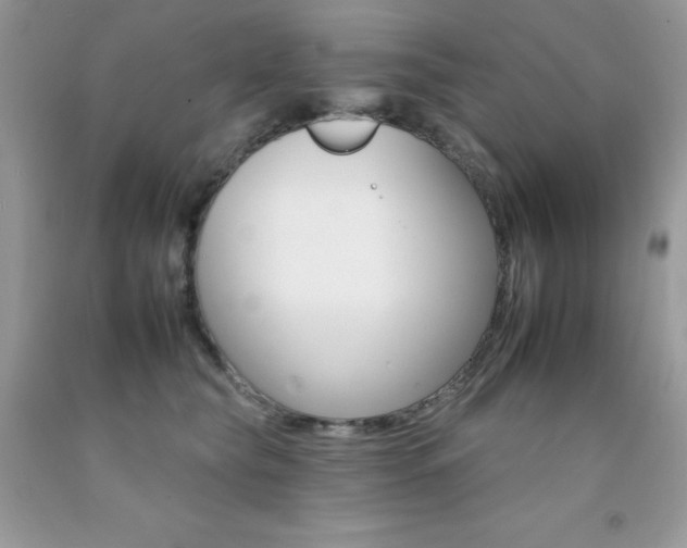 X0000092260565200709141028