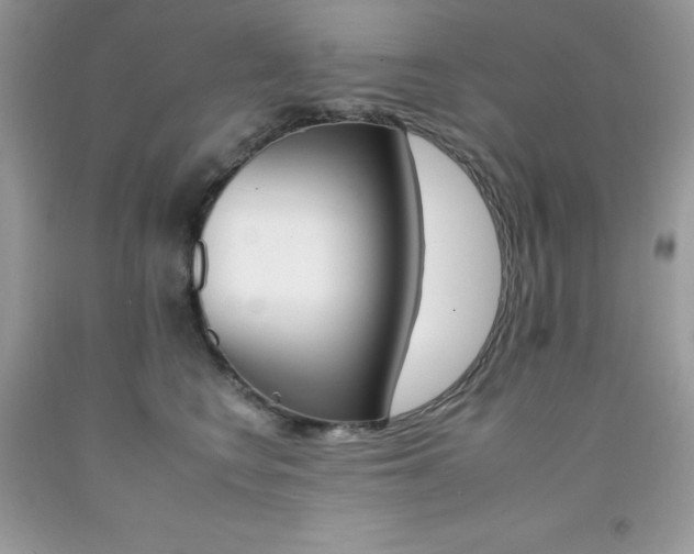 X0000092260566200709141028