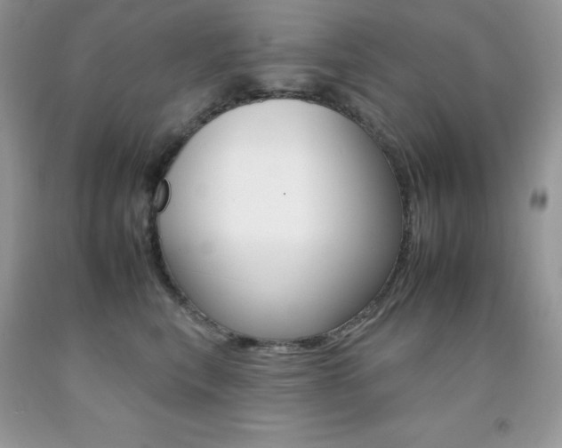 X0000092260567200709141028