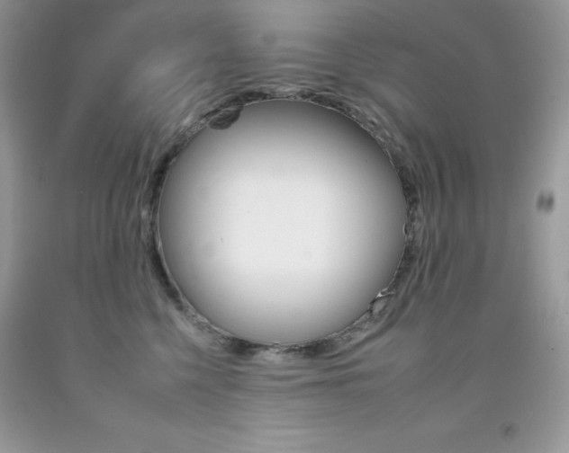 X0000092260568200709141028