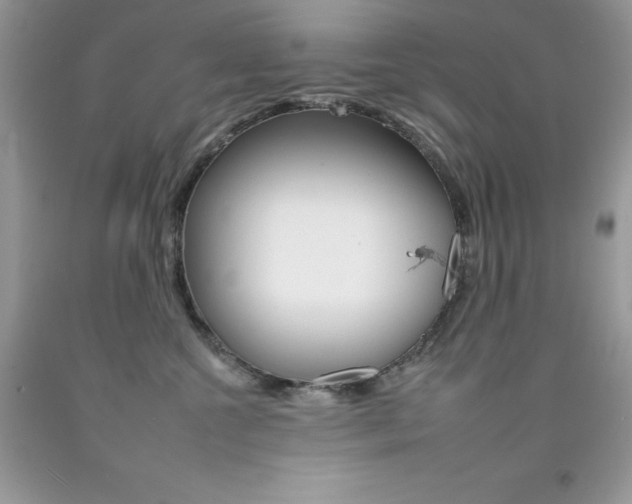 X0000092260572200709141028