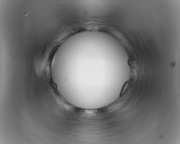 X0000092260573200709141028