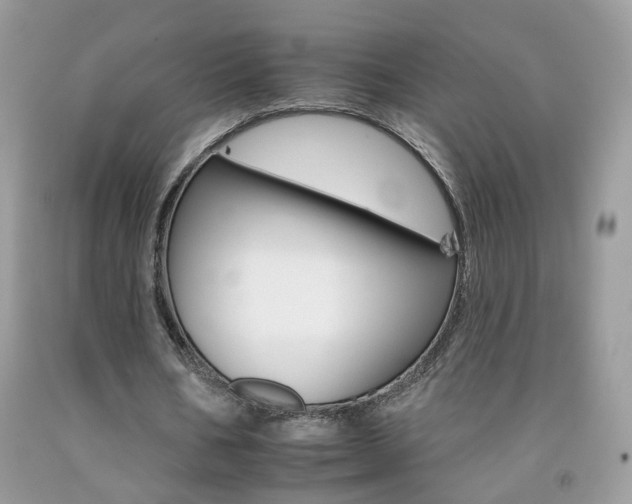 X0000092260578200709141028