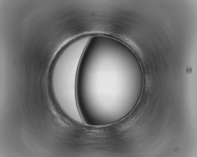 X0000092260580200709141028