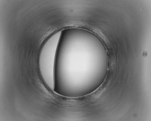X0000092260585200709141027