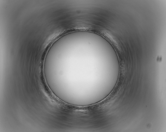 X0000092260586200709141027