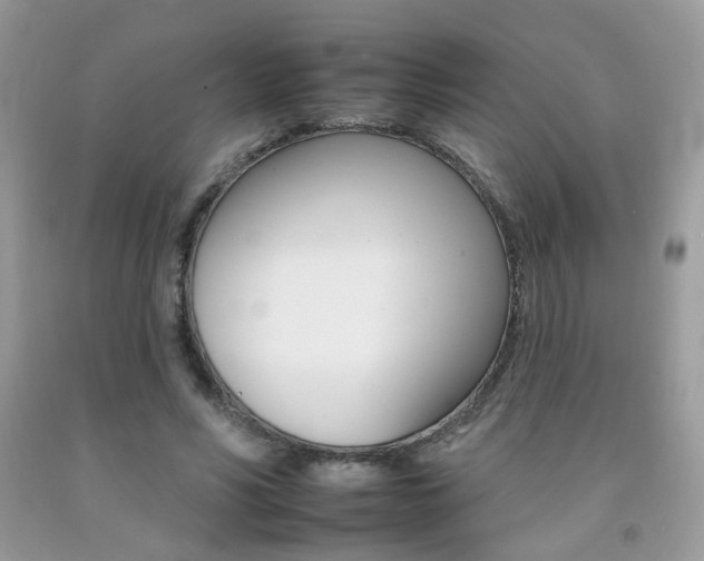 X0000092260590200709141027