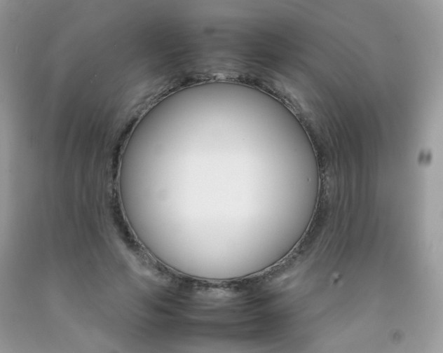 X0000092260594200709141027