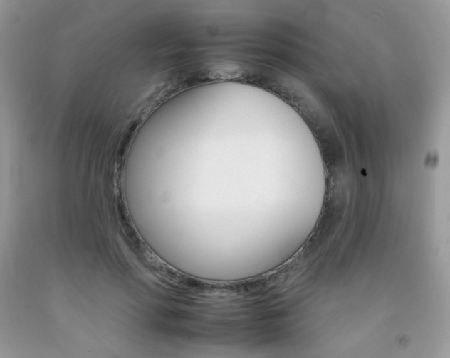 X0000092260598200709141027