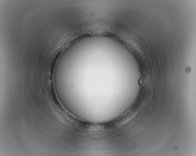 X0000092260599200709141027