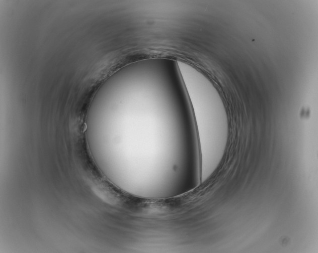 X0000092260601200709141027
