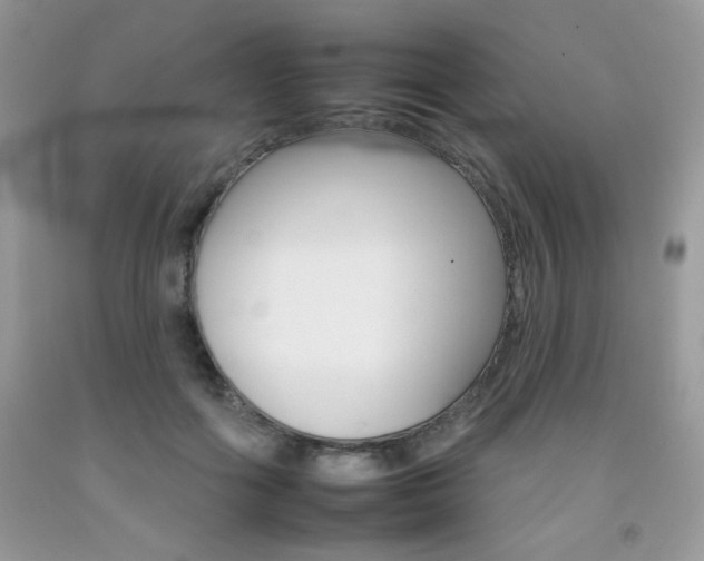 X0000092260602200709141027