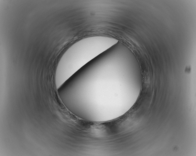 X0000092260603200709141027