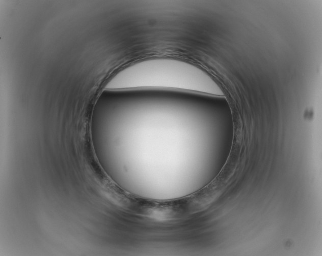 X0000092260604200709141027