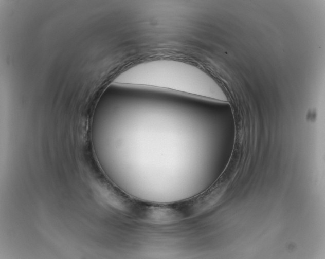 X0000092260605200709141027