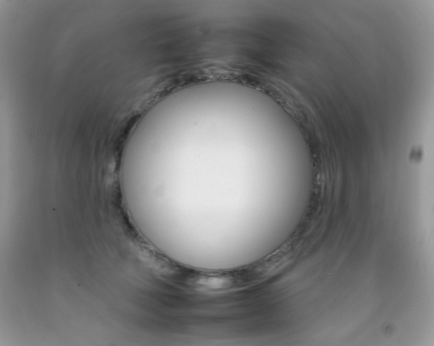 X0000092260610200709141027
