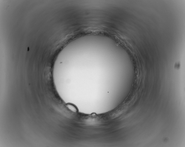 X0000092260612200709141027