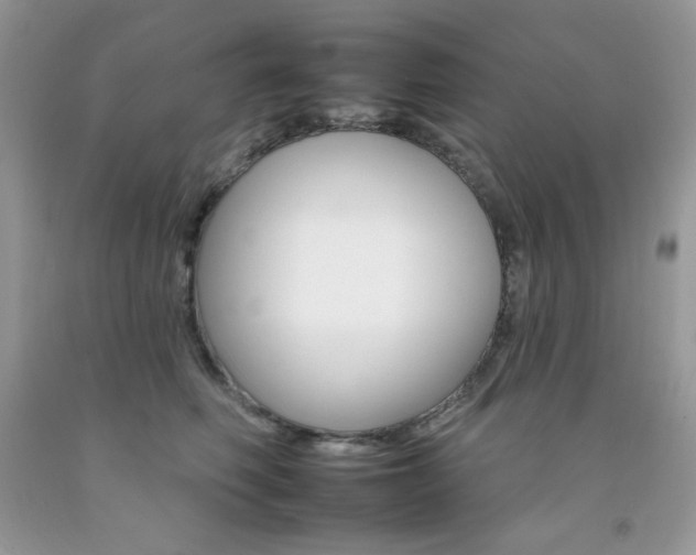 X0000092260614200709141027