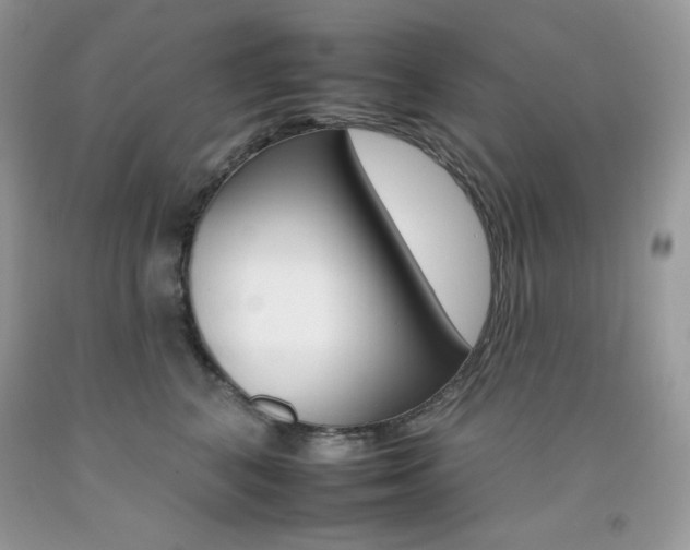 X0000092260616200709141027