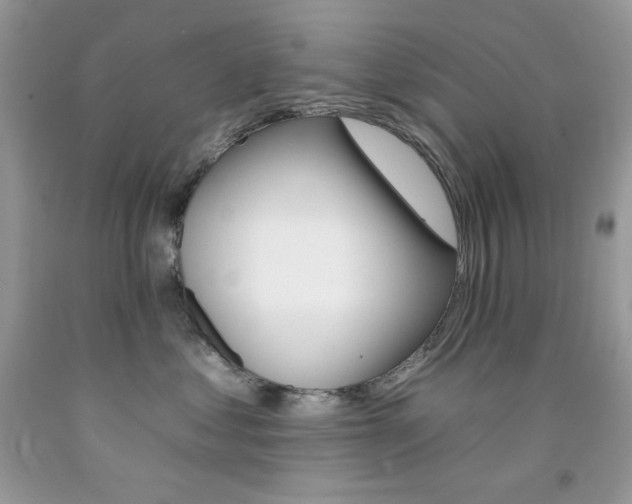 X0000092260621200709141027