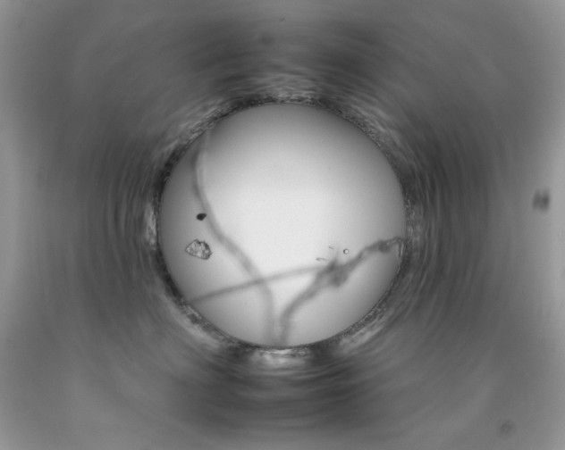 X0000092260622200709141027