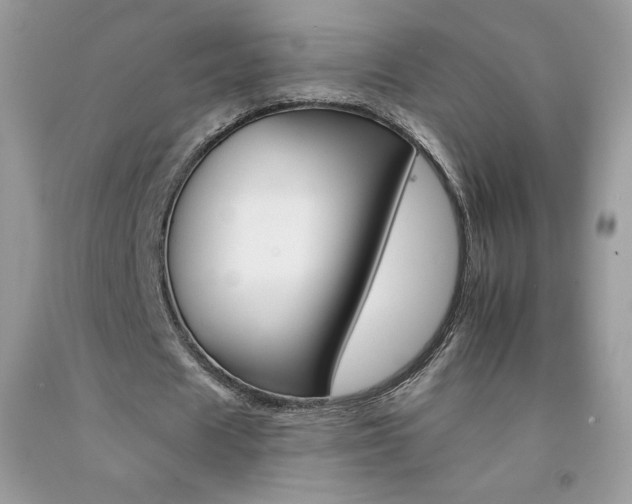 X0000092260625200709141026