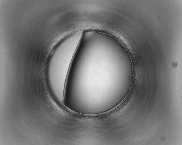 X0000092260629200709141026