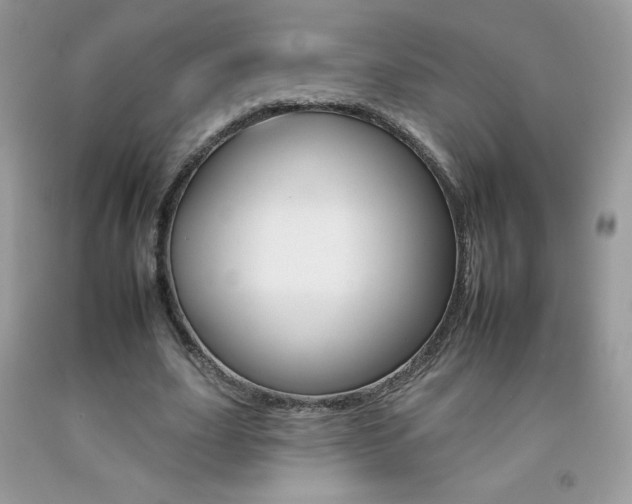 X0000092260631200709141026