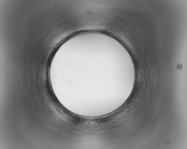 X0000092260632200709141026