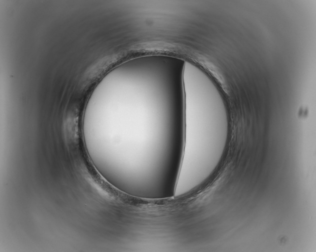 X0000092260633200709141026