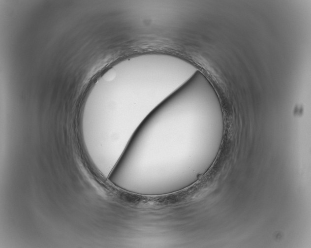 X0000092260634200709141026