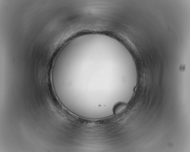 X0000092260635200709141026